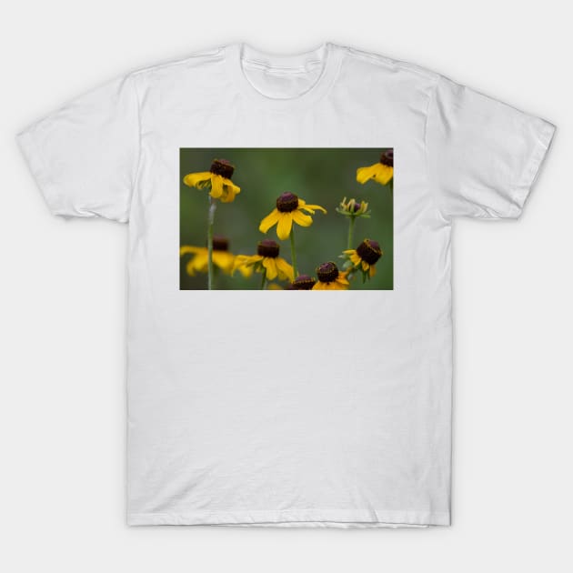 Yellow Wildflower Dancers T-Shirt by Debra Martz